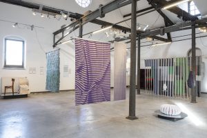 Woven whispers cide caroline dethier 28